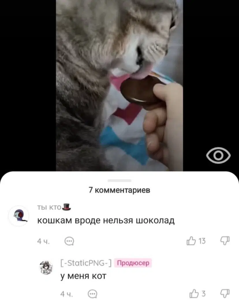 Дичка в отпуск (быстрее бы доехать)