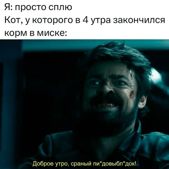 Дичка в отпуск (быстрее бы доехать)