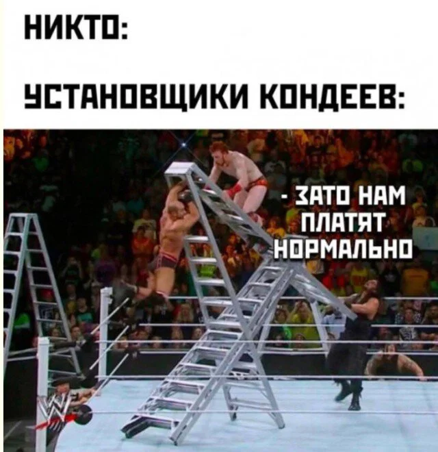 Дичка в отпуск (быстрее бы доехать)