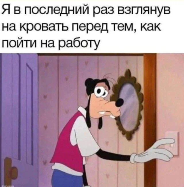 Дичка в отпуск (быстрее бы доехать)