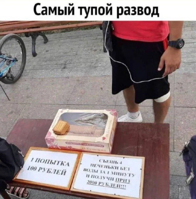 Дичка в отпуск (быстрее бы доехать)