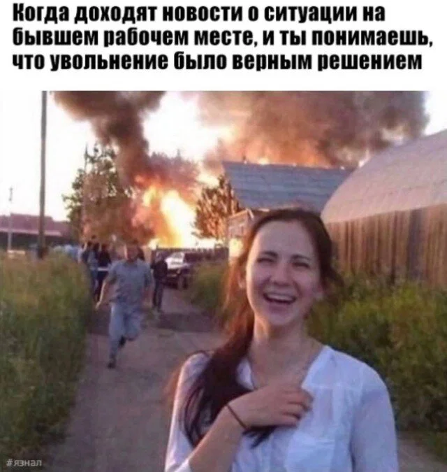 Дичка в отпуск (быстрее бы доехать)