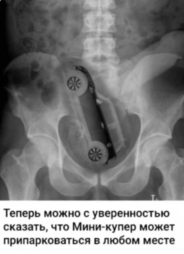 Дичка в отпуск (быстрее бы доехать)