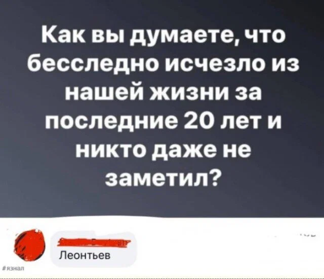 Дичка в отпуск (быстрее бы доехать)