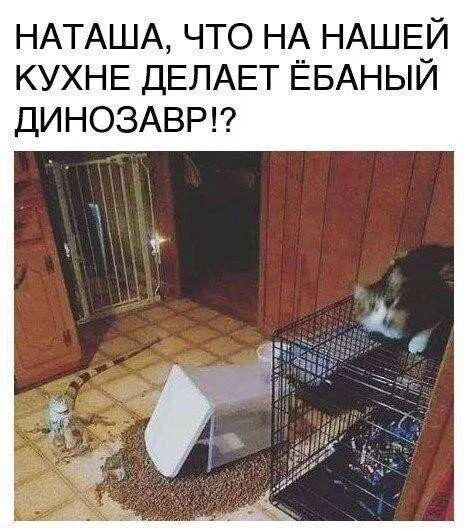 Дички в отпуск (третьи сутки в пути)