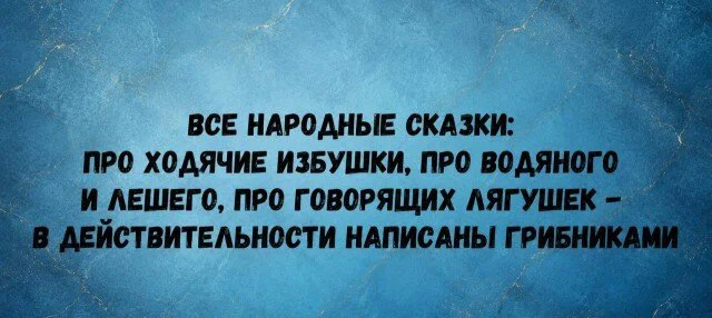 Дички в отпуск (третьи сутки в пути)