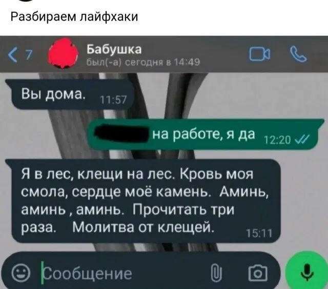 Дички в отпуск (третьи сутки в пути)