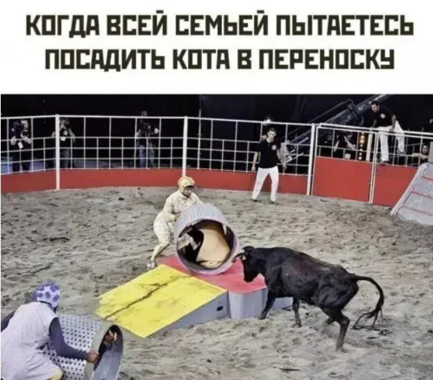 Дички в отпуск (третьи сутки в пути)
