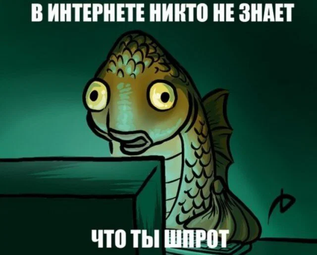 Дички в отпуск (третьи сутки в пути)