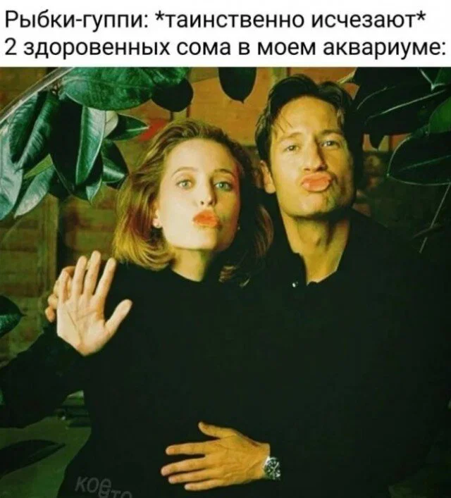 Дички в отпуск (третьи сутки в пути)