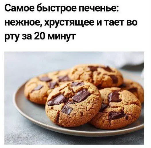 Дичка отпуск не испортит