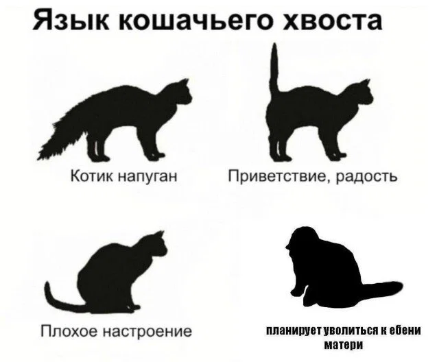 Дичка отпуск не испортит