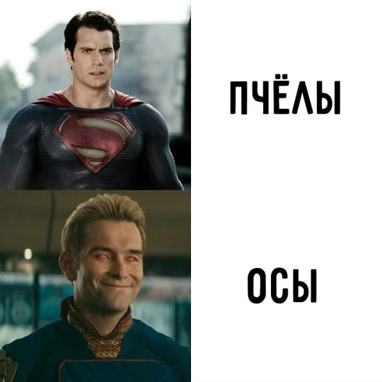 Дичка отпуск не испортит
