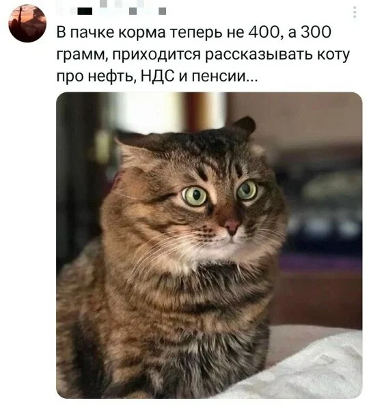 Дичка отпуск не испортит