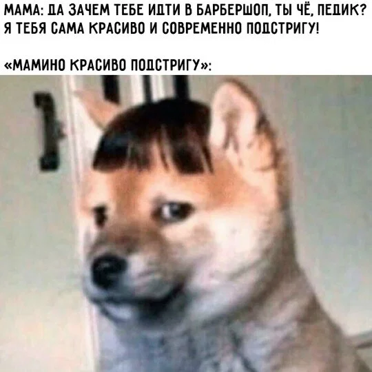 Дичка отпуск не испортит