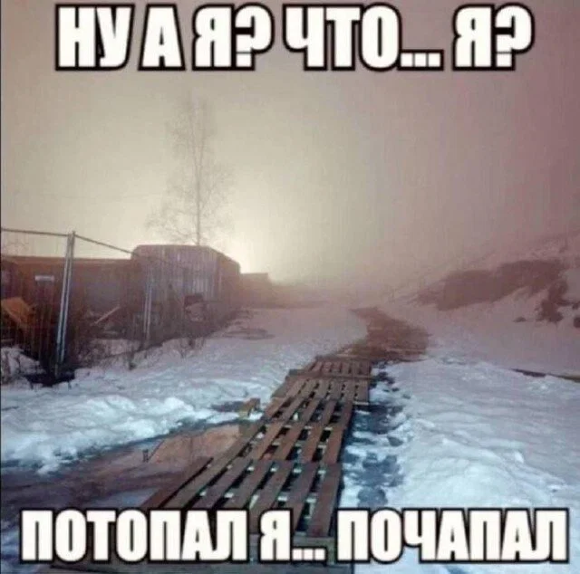 Дичка отпуск не испортит