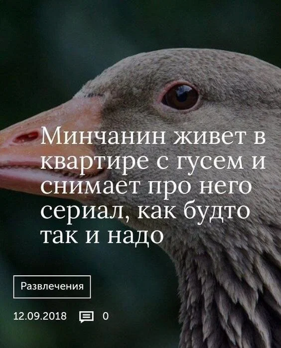 Дичка отпуск не испортит