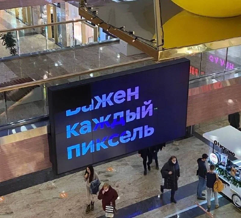 Дичка отпуск не испортит