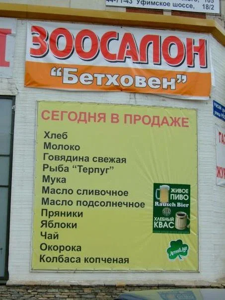 Утренний дичкозаменитель [004]