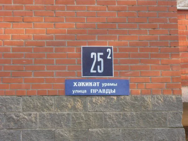 Утренний дичкозаменитель [004]