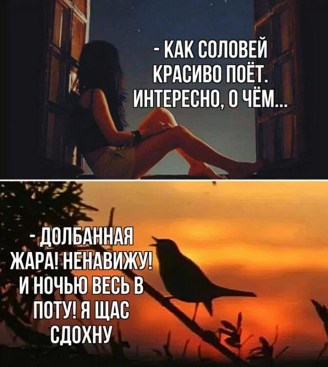 Дичи в этот (а какой сегодня день, Отпуск:) )