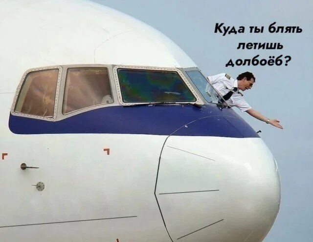 Дичи в этот (а какой сегодня день, Отпуск:) )