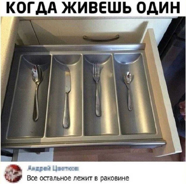 Дичи в этот (а какой сегодня день, Отпуск:) )