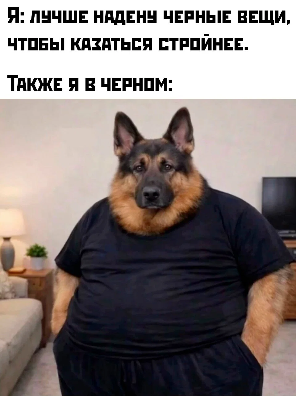 Дичи в этот (а какой сегодня день, Отпуск:) )