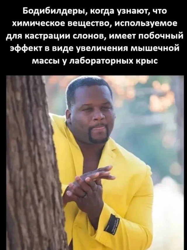 Дичи в этот (а какой сегодня день, Отпуск:) )
