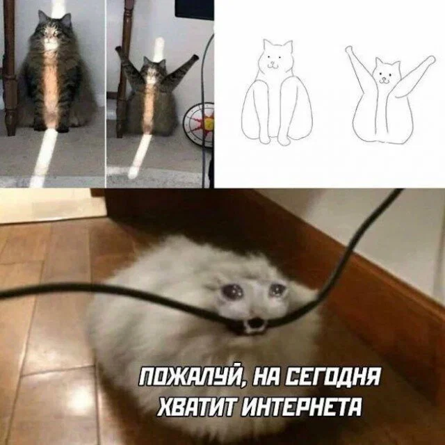 Дичи в этот (а какой сегодня день, Отпуск:) )