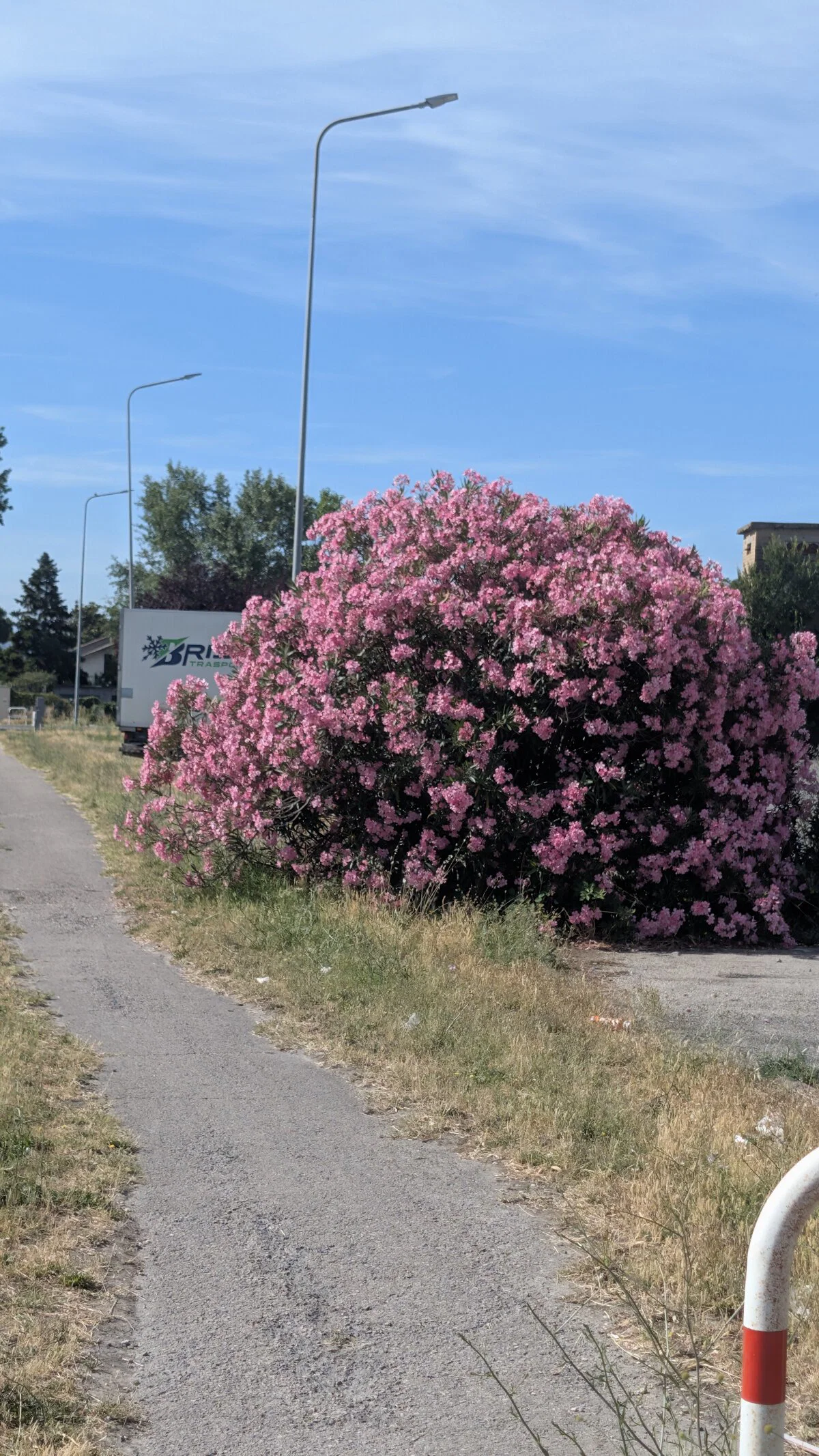 Тротуары так себе.