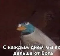 Ивент Вомбата. Слово недели - Встряска.