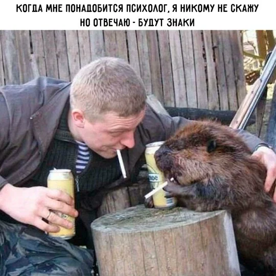Дички как солнышка лучик