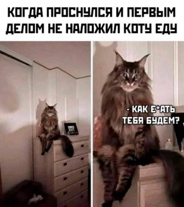 Дички как солнышка лучик