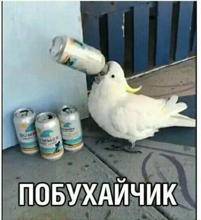 Дички как солнышка лучик