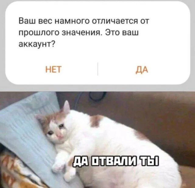 Дички как солнышка лучик