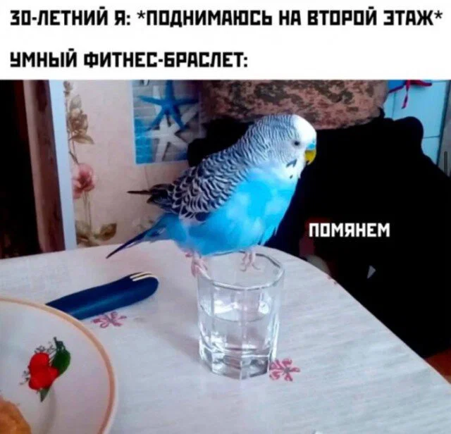 Дички как солнышка лучик