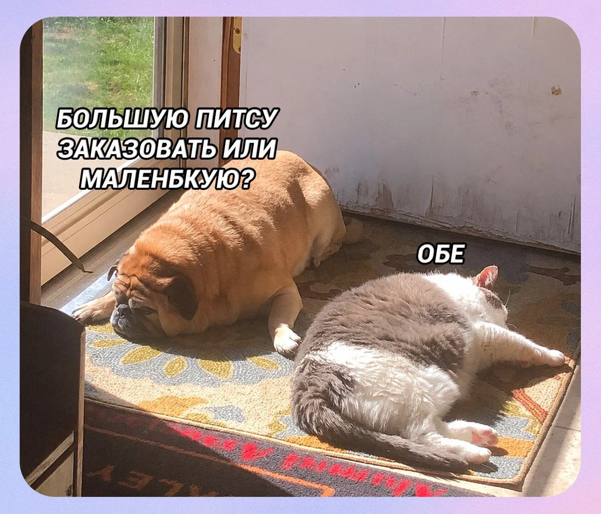 Дички мало не бывает