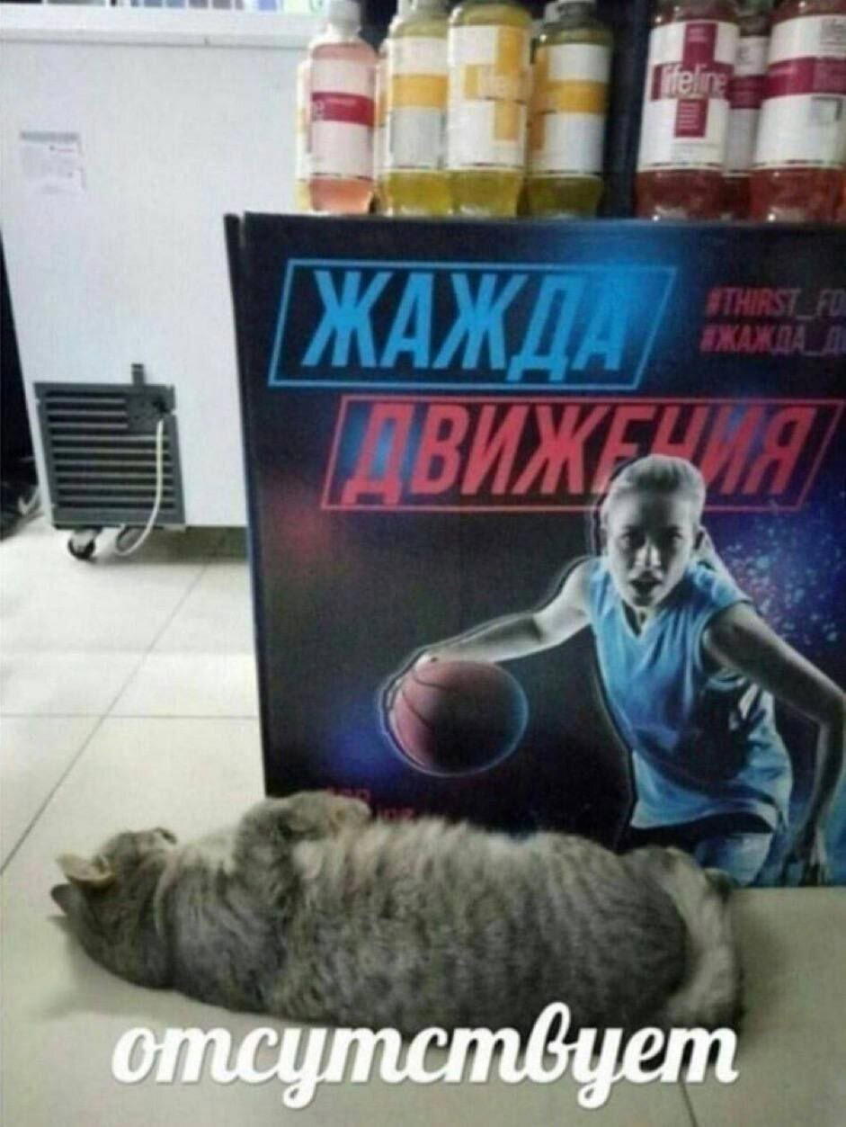 Дички в утро для удачи