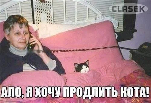 Дички в утро для удачи