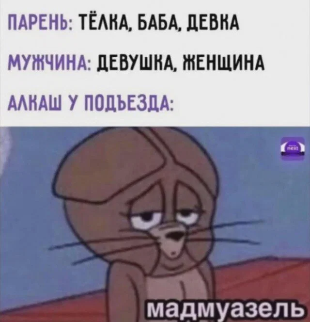 Дички в утро для удачи