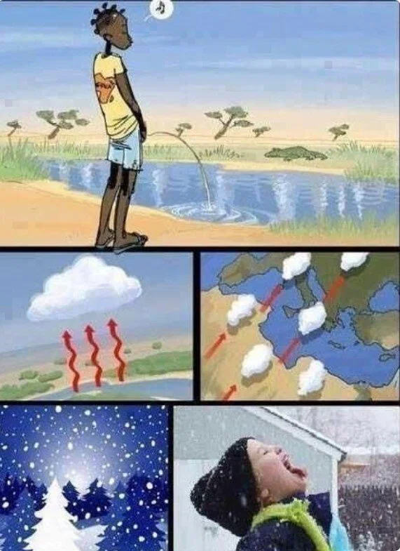 Дички в утро для удачи