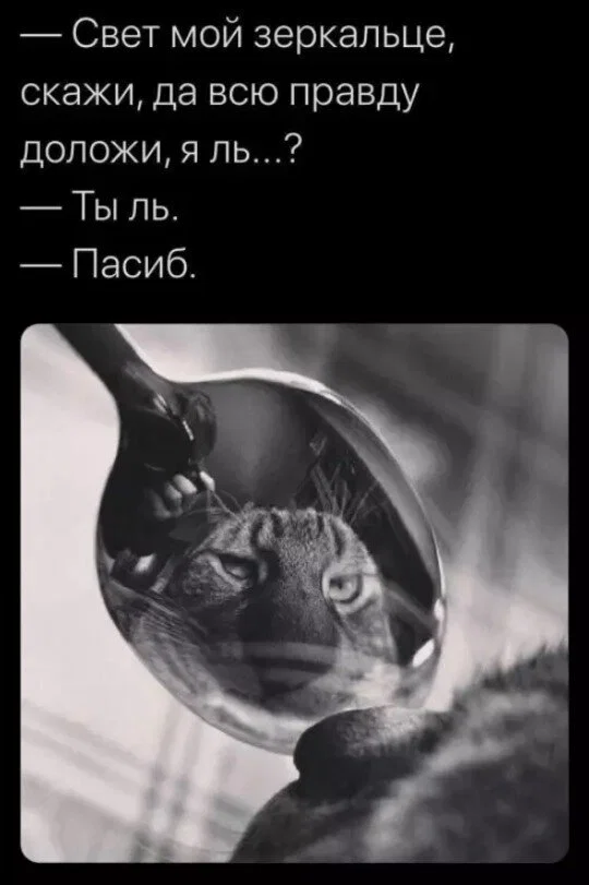 Дички в утро для удачи