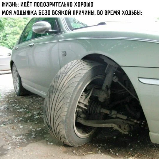 Дички в утро для удачи