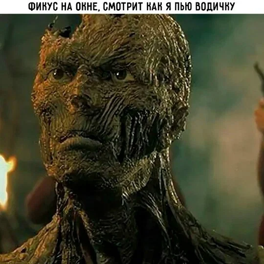Дички в утро для удачи
