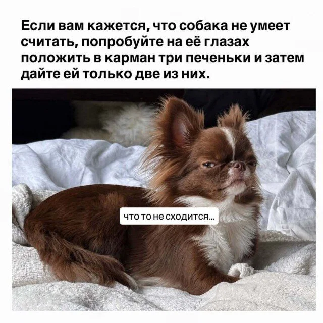 Дички в честь отсутствия мобильного интернета