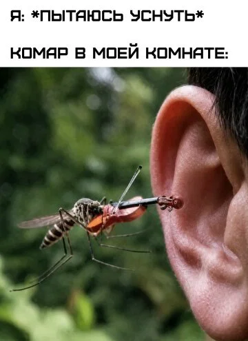 Дички в честь отсутствия мобильного интернета