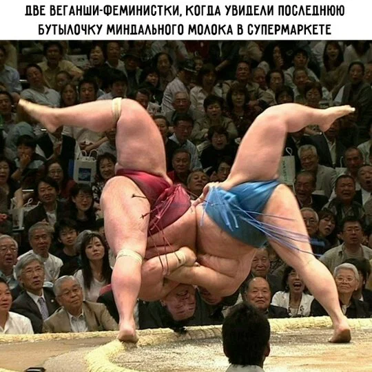 Дички в честь отсутствия мобильного интернета