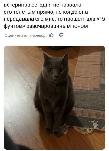Дички в честь отсутствия мобильного интернета