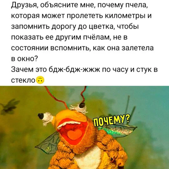 Дички в честь отсутствия мобильного интернета